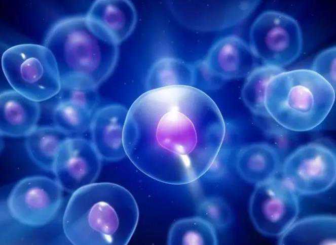 输卵管通而不畅是啥意思~助孕生殖中心招聘