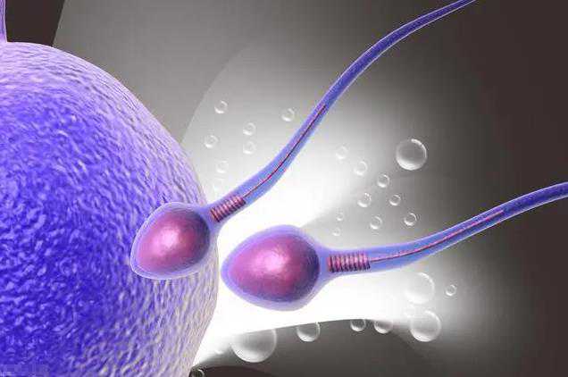 输卵管疏通后怀孕的几率~试管助孕代生