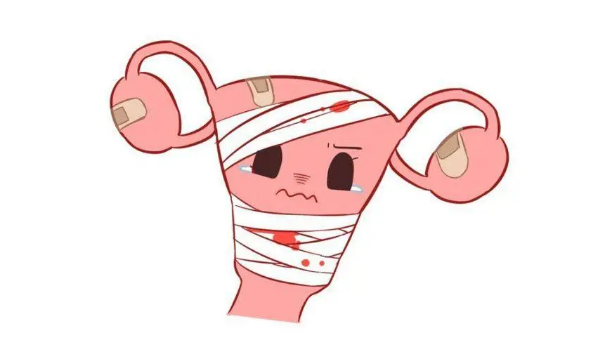 胚胎移植_天津医科大学第二医院试管婴儿吧